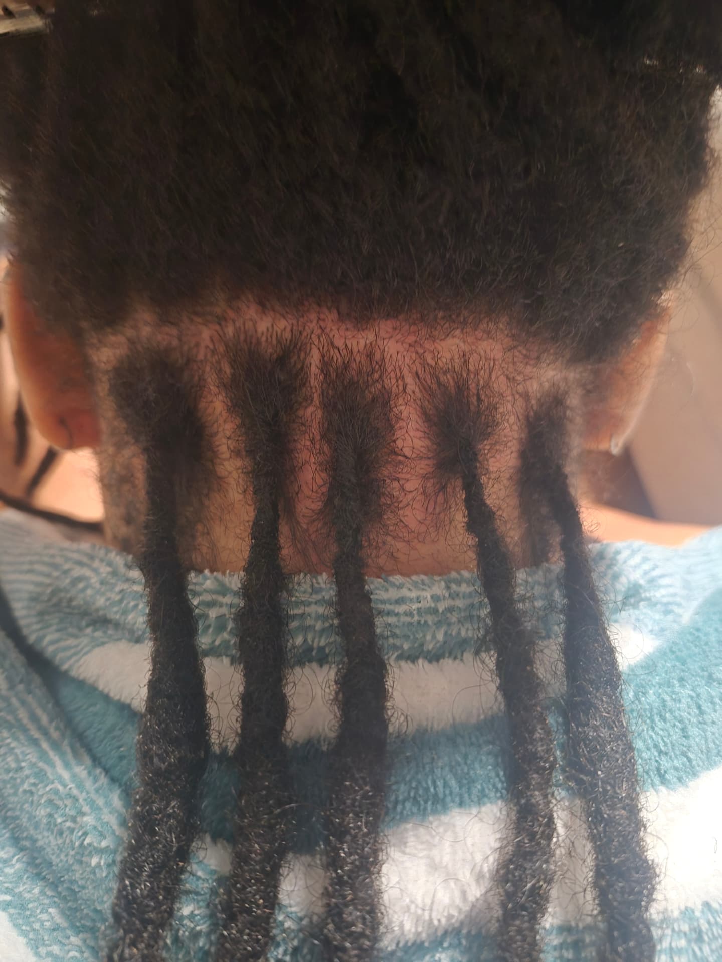 Cleanly maintained locs at the nape